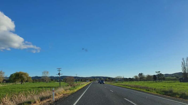 From Auckland: Waitomo Glowworm Cave Tour - Final Thoughts