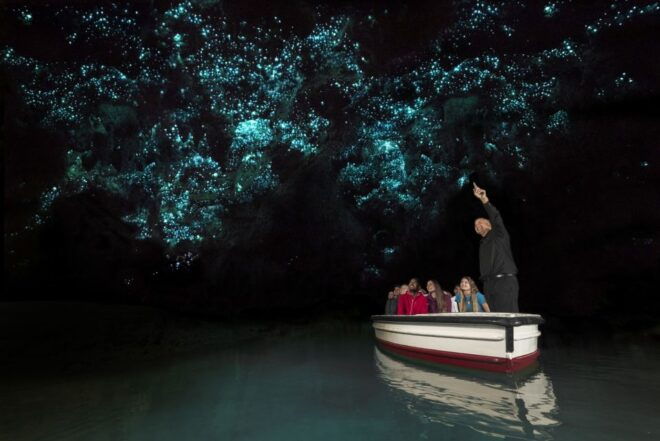 From Auckland: Waitomo & Hobbiton Bus Tour With Lunch - Guided Tour of Waitomo Glowworm Caves