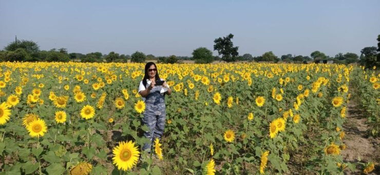From Aurangabad: Private Tour Hampi, Badami, Ajanta & Ellora - Detailed Itinerary