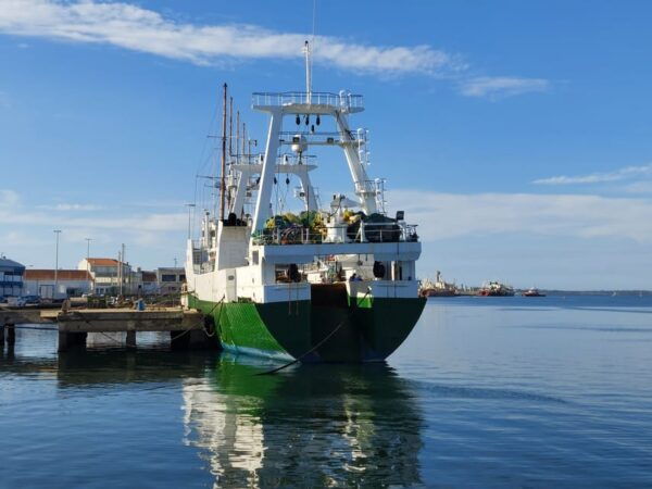 From Aveiro/Ilhavo: Barra, Costa Nova, and Vista Alegre Tour - Cancellation Policy