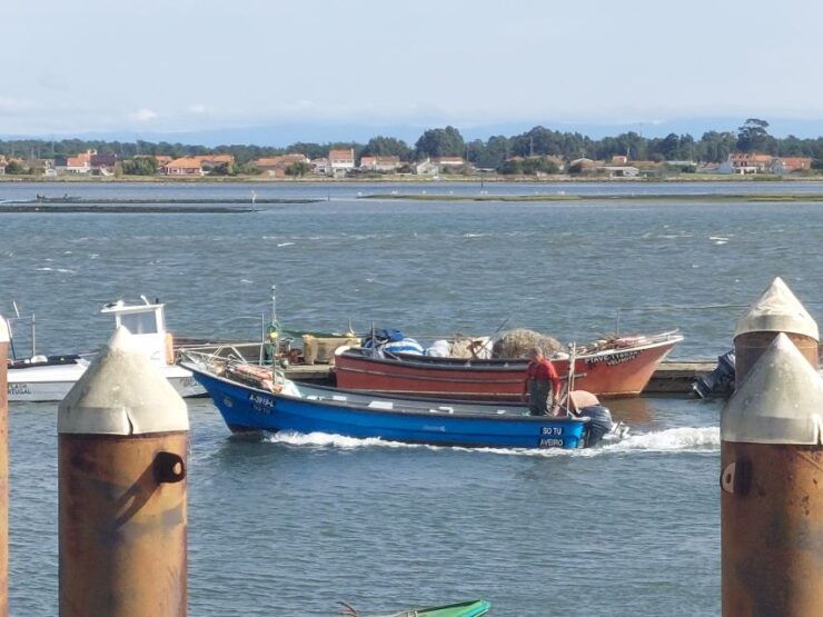 From Aveiro/Ilhavo: Barra, Costa Nova, and Vista Alegre Tour - Pickup Options and Highlights