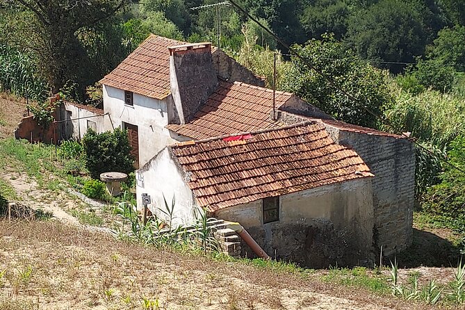 From Aveiro to Boco: Trail "Levadas of Watermills" With Picnic - Pricing and Booking Details