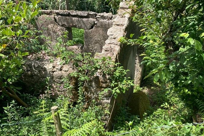 From Aveiro to Boco: Trail "Levadas of Watermills" With Picnic - Pickup and Drop-off Information