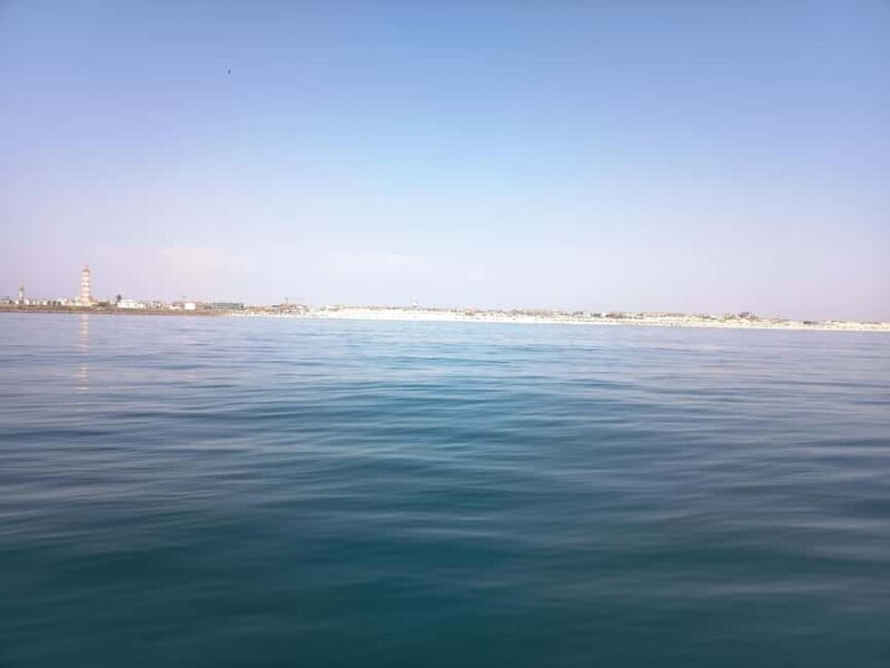 From Aveiro to the Beaches by Boat - A Deep Dive into the Experience