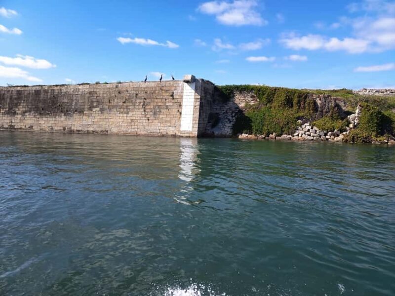 From Aveiro to the Beaches by Boat - The Sum Up