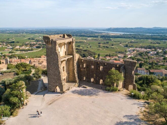 From Avignon: Afternoon Wine Tour Châteauneuf Du Pape - The Sum Up