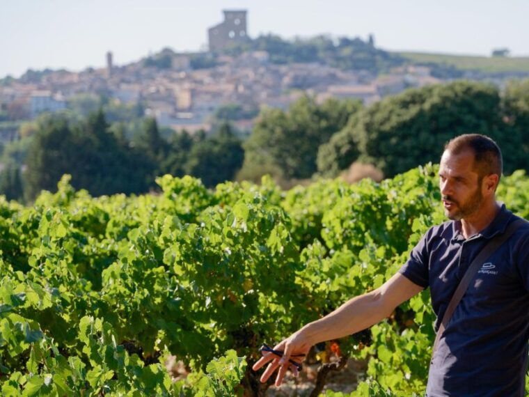 From Avignon: Châteauneuf Du Pape Half-Day Wine Tour - What to Bring