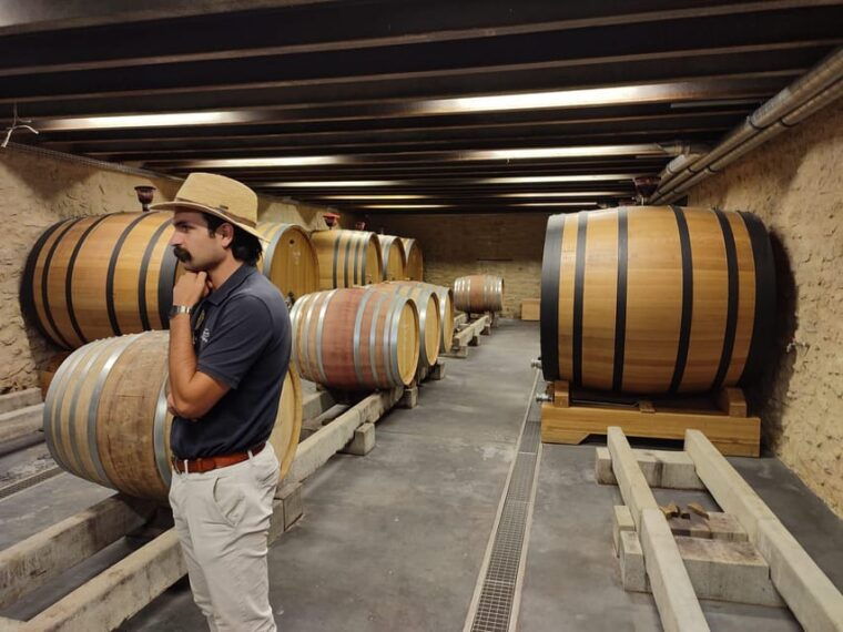 From Avignon: Châteauneuf Du Pape Half-Day Wine Tour - Wineries and Wine Tastings