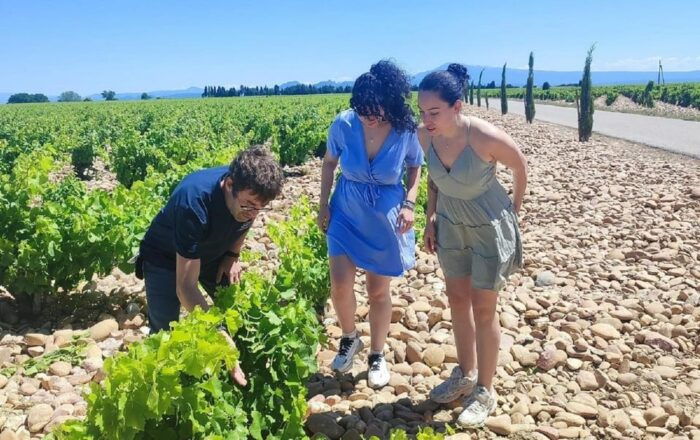 From Avignon: Châteauneuf Du Pape Half-Day Wine Tour - Cancellation Policy