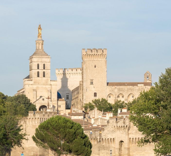From Avignon : Full Day Avignon & Luberon Expérience - Popes Palace: Historical Gothic Residence