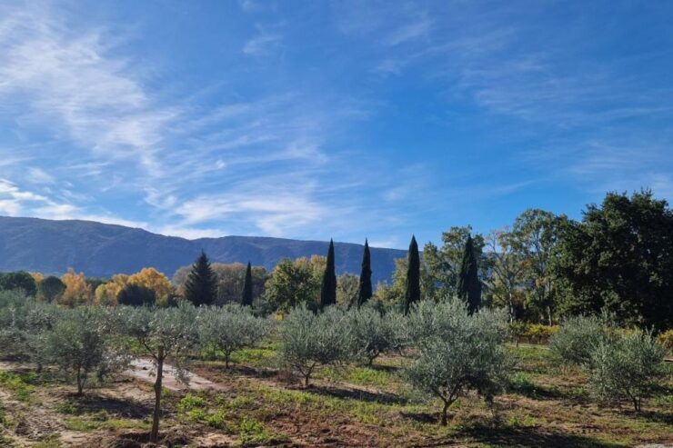 From Avignon: Full-Day E-Bike Tour in the Luberon Region - Activity Details and Highlights