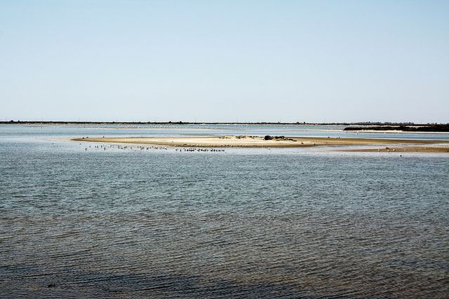 From Avignon: Half-Day Camargue and Saintes-Maries-de-la-Mer - Pickup and Group Details