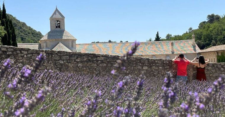 From Avignon: Lavender Tour Around Valensole or Sault - Participant Guidelines and Recommendations