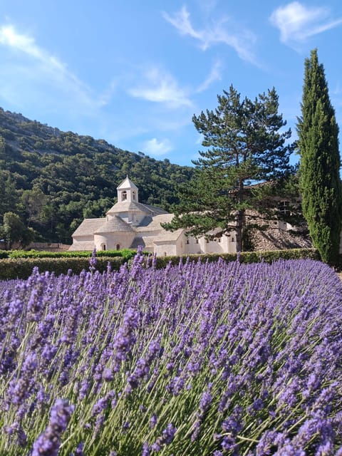From Avignon: Lavender Villages Full-Day Tour - Itinerary Highlights