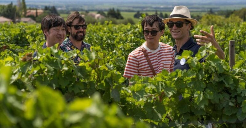 From Avignon: Luberon and Chateauneuf-du-Pape Full-Day Tour - Itinerary Highlights