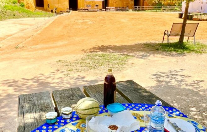 From Avignon: Luberon's Main Villages & Sites Tour - Enjoy a Picnic With Fresh Local Products