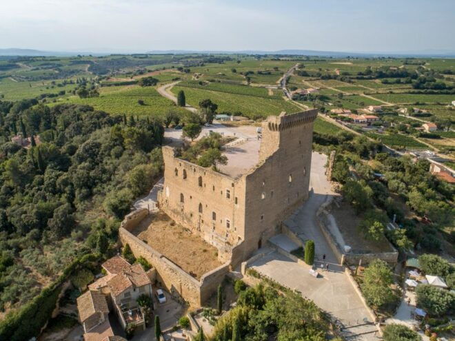 From Avignon: Morning Wine Tour to Châteauneuf Du Pape - Customer Reviews