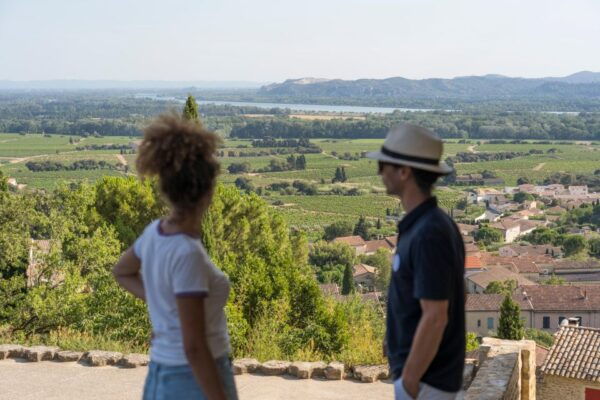 From Avignon: Morning Wine Tour to Châteauneuf Du Pape - The Sum Up