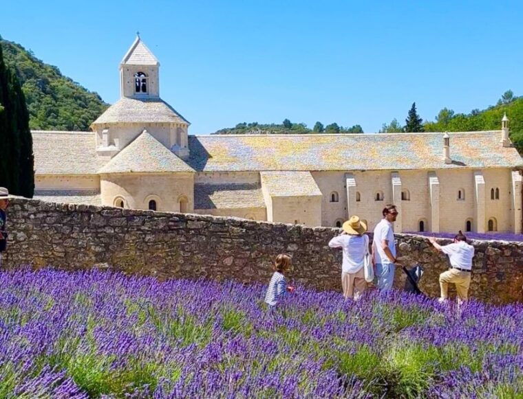 From Avignon: the Best of Luberon - The Delight of a Local Picnic