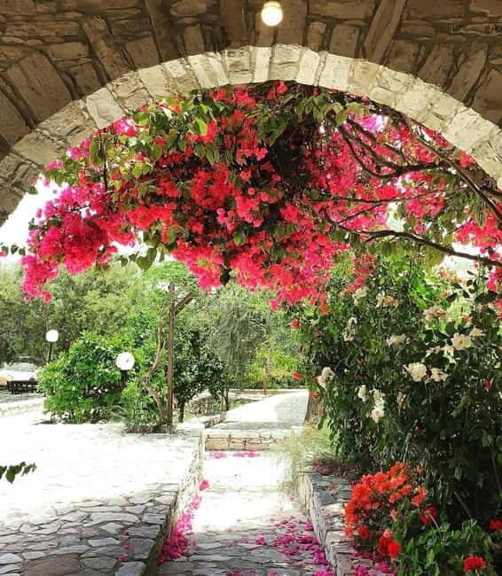 From Aya Napa/Protaras/Larnaca: Cyprus Charms in Romanian - A Closer Look at the Cyprus Charms Tour