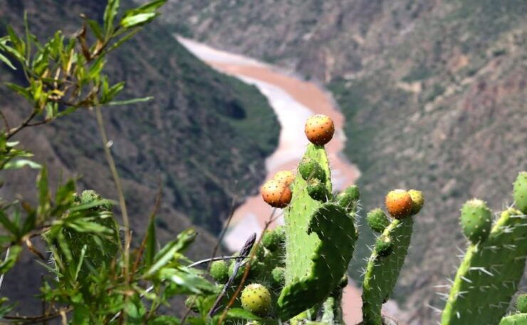 From Ayacucho: Huatuscalla Huanta - Full Day - Experience Highlights