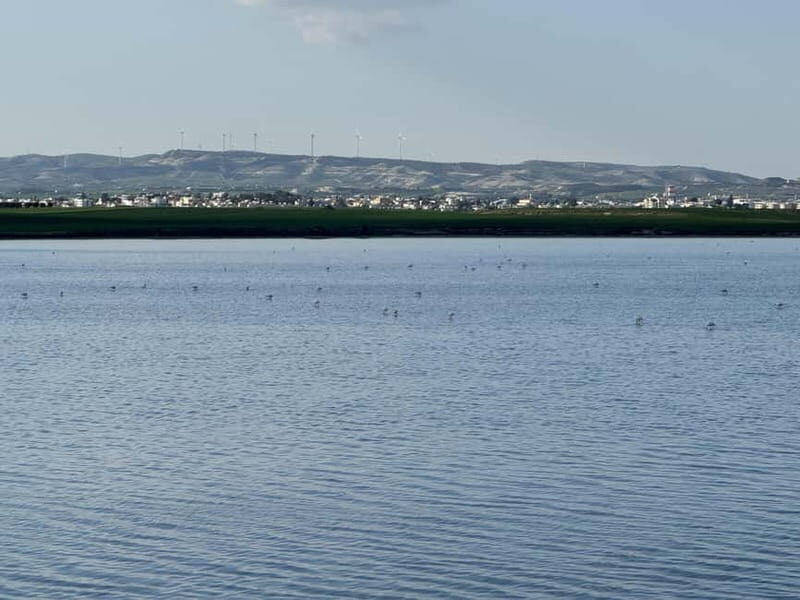 From Ayia Napa: Enchanted Lagoon Jeep Safari - Authentic Feedback and What It Means for You