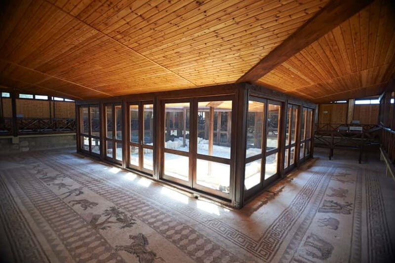 From Ayia Napa & Protaras: Kourion Tour and Paphos Town - Who Will Enjoy This Tour?