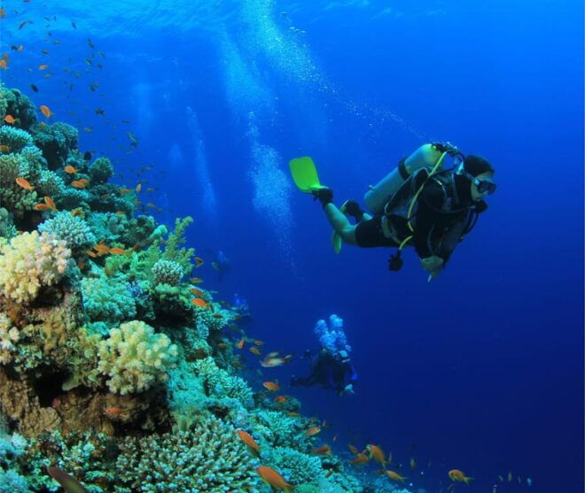 From Bacalar, Mexico: One Way Shared Transfer to Belize City - Highlights and Activities