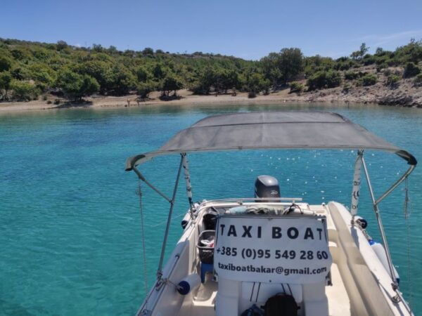 From Bakar: Swimming, Snorkeling & Sightseeing Cruises - Frequently Asked Questions