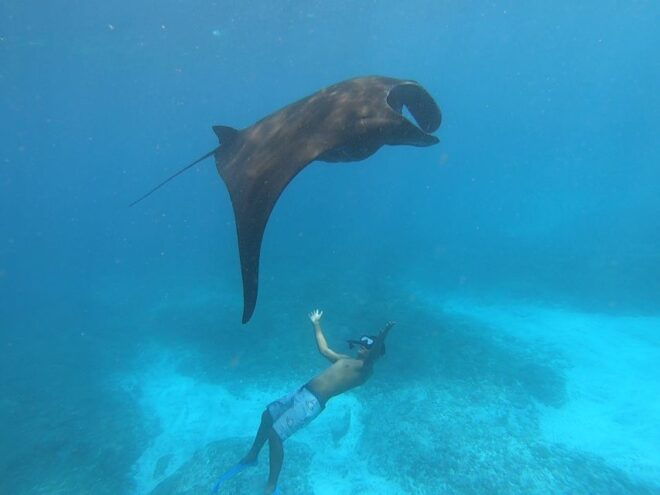 From Bali: 2-Day Nusa Penida East & West and Nusa Lembongan - Full Itinerary