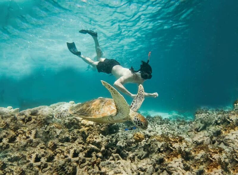 From Bali: 2D1N Gili Island Private Snorkel Boat with Hotel - Who Should Consider This Tour?