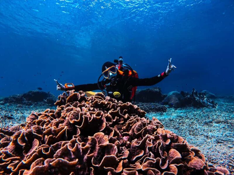 From Bali: Beginner Scuba Diving to Nusa Penida & Lembongan - Good To Know