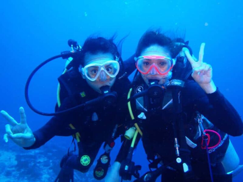 From Bali: Beginner Scuba Diving to Nusa Penida & Lembongan - What to Expect Underwater