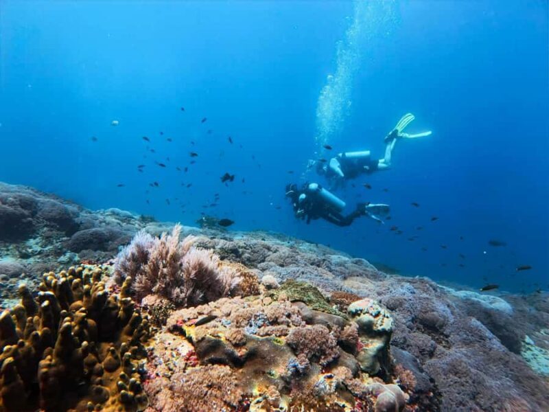 From Bali: Beginner Scuba Diving to Nusa Penida & Lembongan - Practical Considerations and Tips