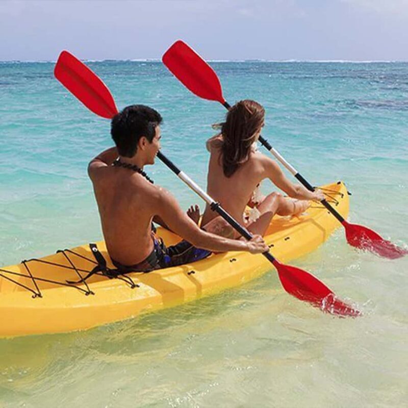 From Bali: Day Tour West & Kayaking Nusa Penida - Who Should Consider This Tour?