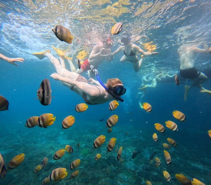 From Bali: Explore West Nusa Penida With Snorkeling - Important Information
