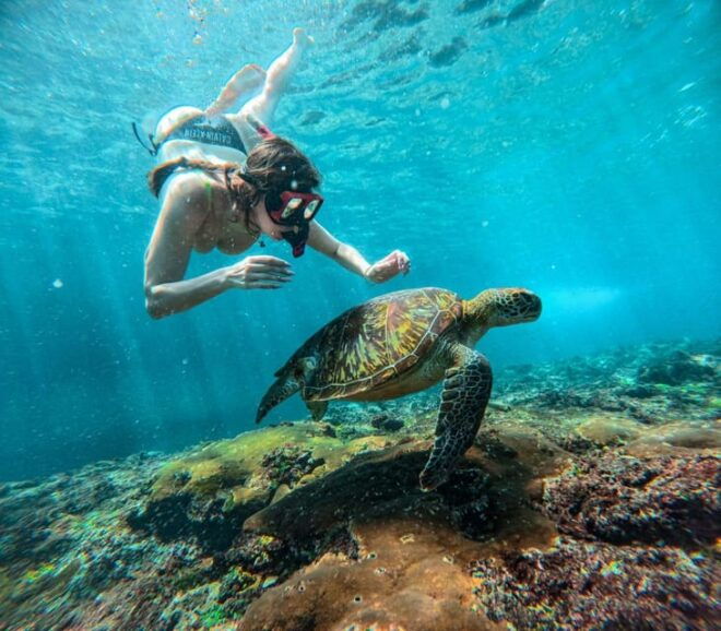 From Bali: Explore West Nusa Penida With Snorkeling - Questions You May Have