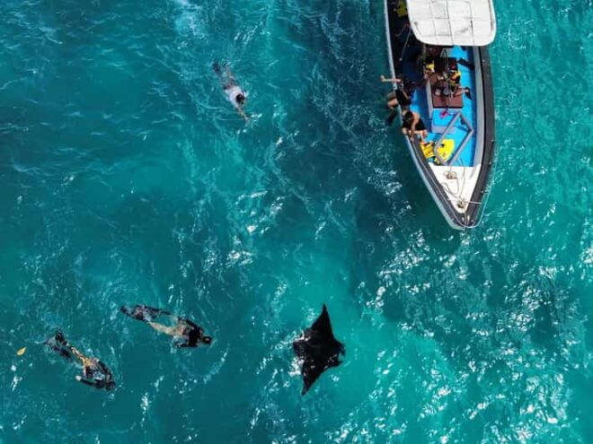 From Bali: Full Day Private Snorkeling Tour Nusa Penida - Tour Highlights