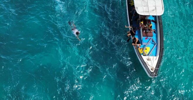 From Bali: Full Day Private Snorkeling Tour Nusa Penida - Important Information