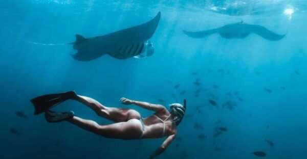 From Bali: Full Day Private Snorkeling Tour Nusa Penida - Booking Process