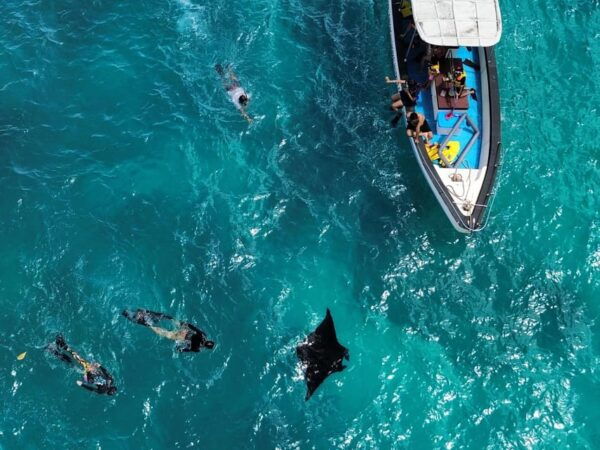 From Bali: Full Day Private Snorkeling Tour Nusa Penida - Travel Tips