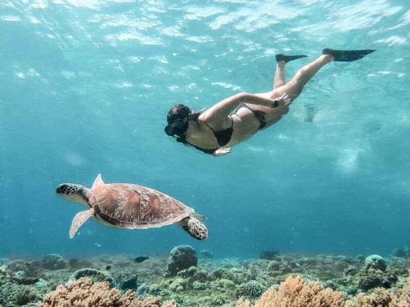 From Bali: Gili Islands Private Snorkeling Day Trip - Good To Know