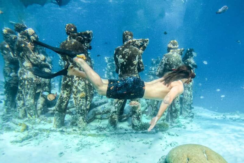 From Bali: Gili Islands Private Snorkeling Day Trip - Price and Value