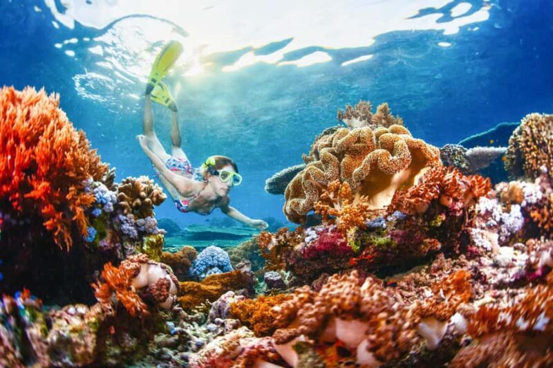 From Bali: Half Day Snorkeling 3 Spots to Lembongan & Penida - Good To Know