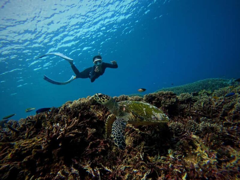 From Bali: Half Day Snorkeling 3 Spots to Lembongan & Penida - The Experience in Detail