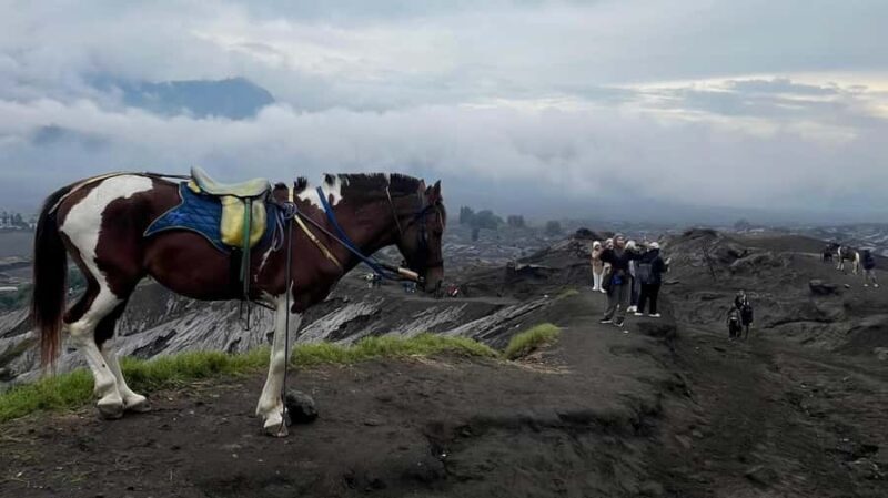 From Bali: Inclusive 3-Day Bromo & Ijen volcano trip - The Sum Up