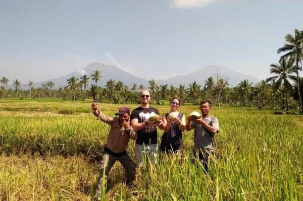 From Bali : Kawah Ijen Mt.Bromo With Local Experiences - Important Travel Considerations