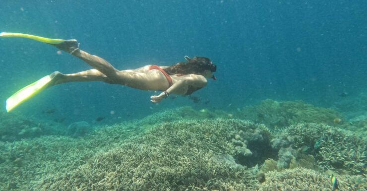 From Bali: Lembongan & Penida 2-Day Tour With Snorkeling - Activities & Experiences