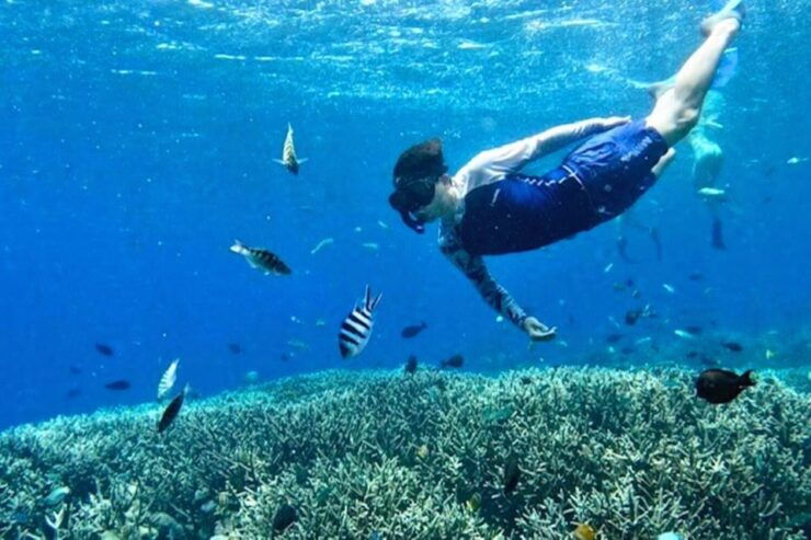 From Bali: Manta Rays Snorkeling & Nusa Lembongan Tour - Key Points