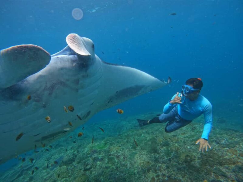 From Bali: Manta Rays Snorkeling with Lembongan Land Tour - Good To Know